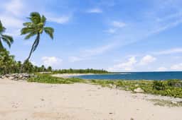 Akumal Bosque | 8 Min Walk To Beach | Rooftop Pool - Image 3