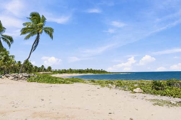 Akumal Bosque | 8 Min Walk To Beach | Rooftop Pool - Image 3